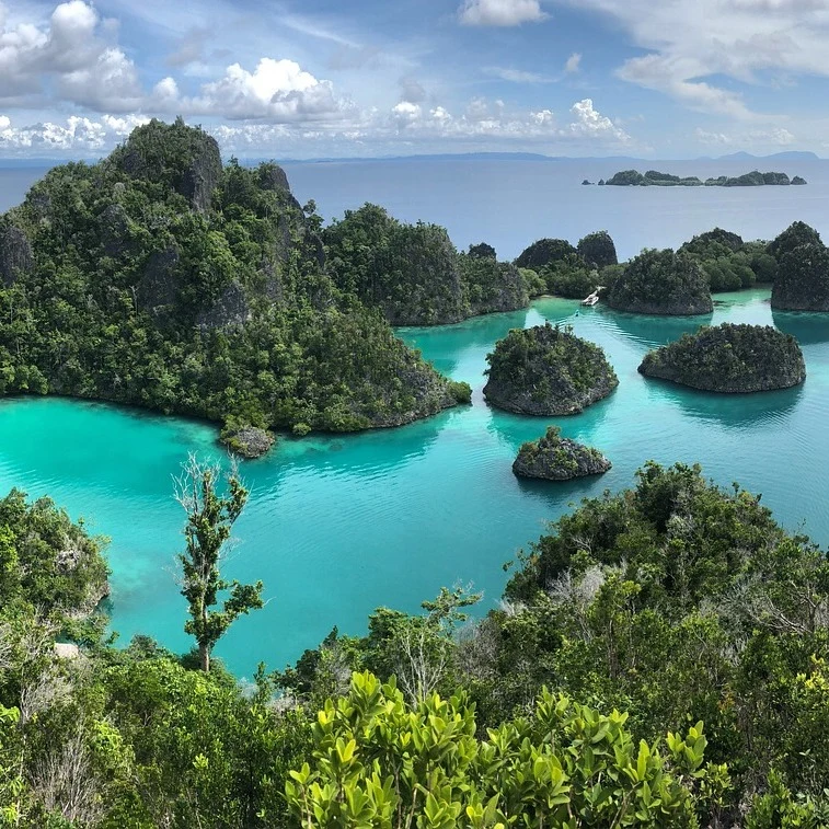Papua